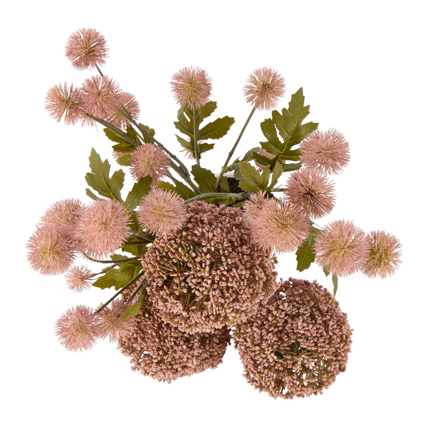 Rogue Allium Pompom Mix Gianna Pot