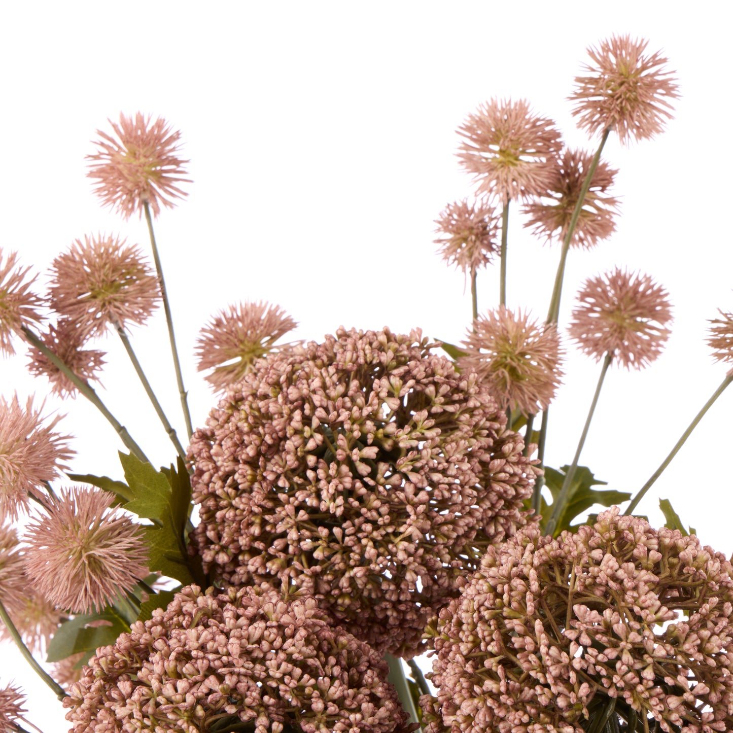 Rogue Allium Pompom Mix Gianna Pot
