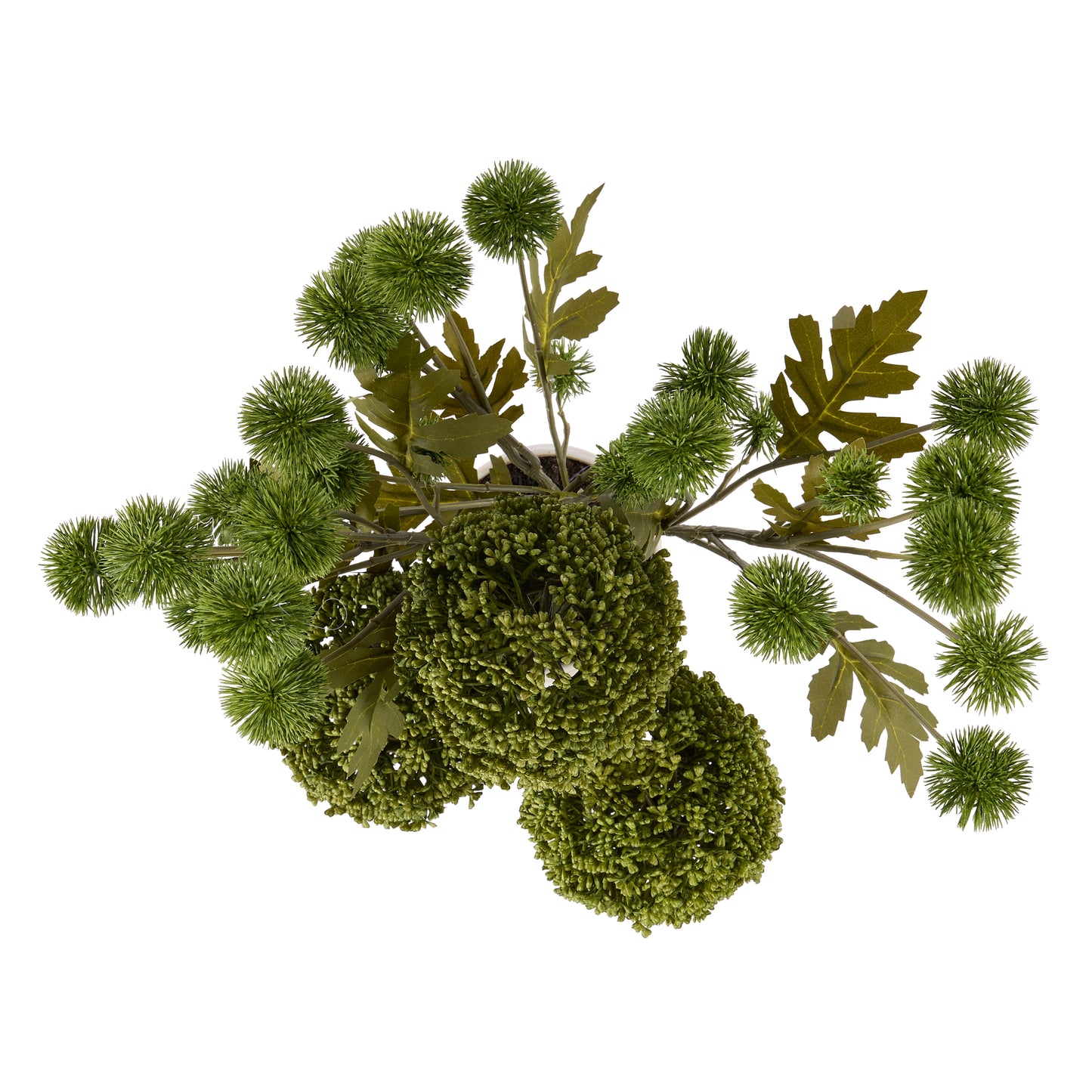Rogue Allium Pompom Mix Gianna Pot