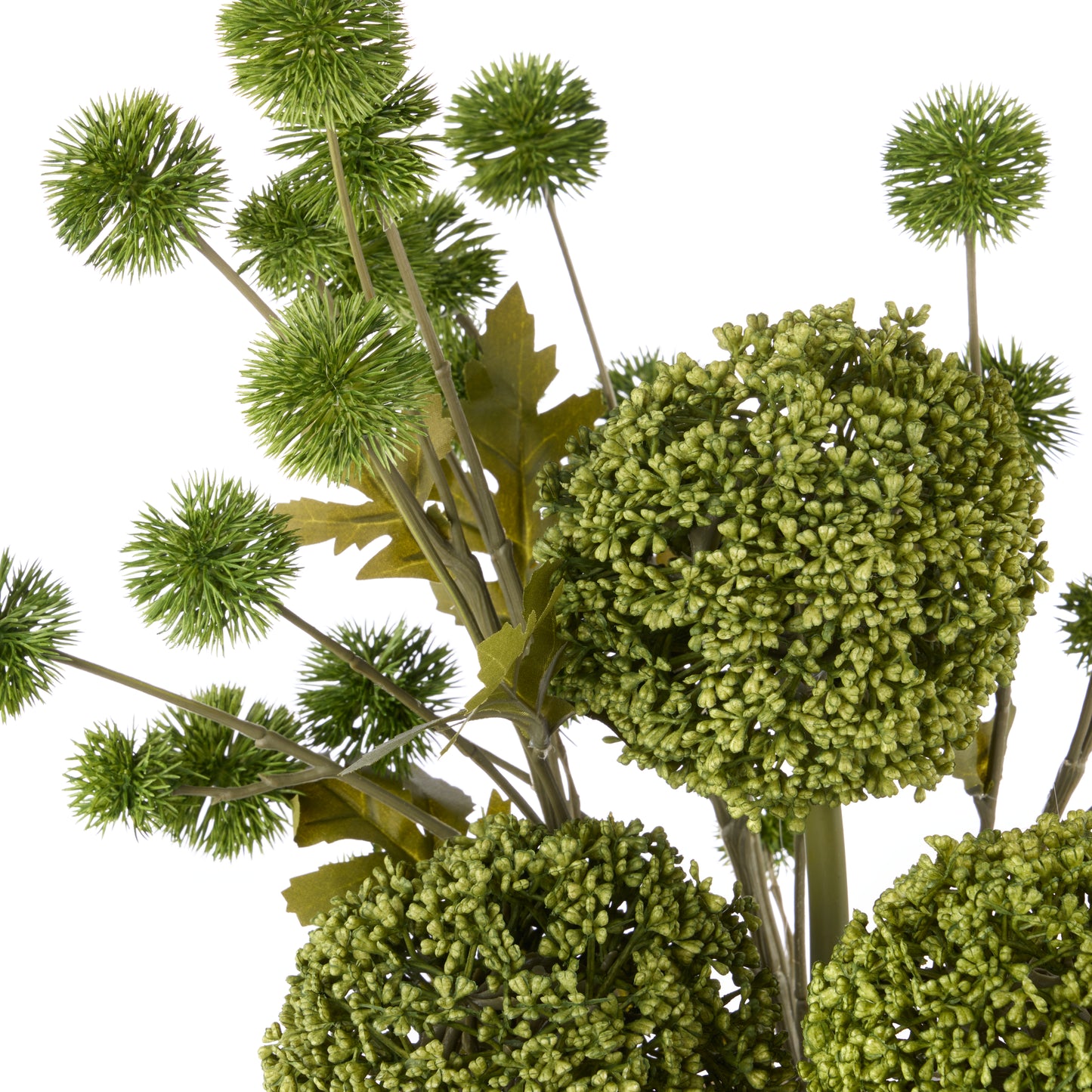Rogue Allium Pompom Mix Gianna Pot