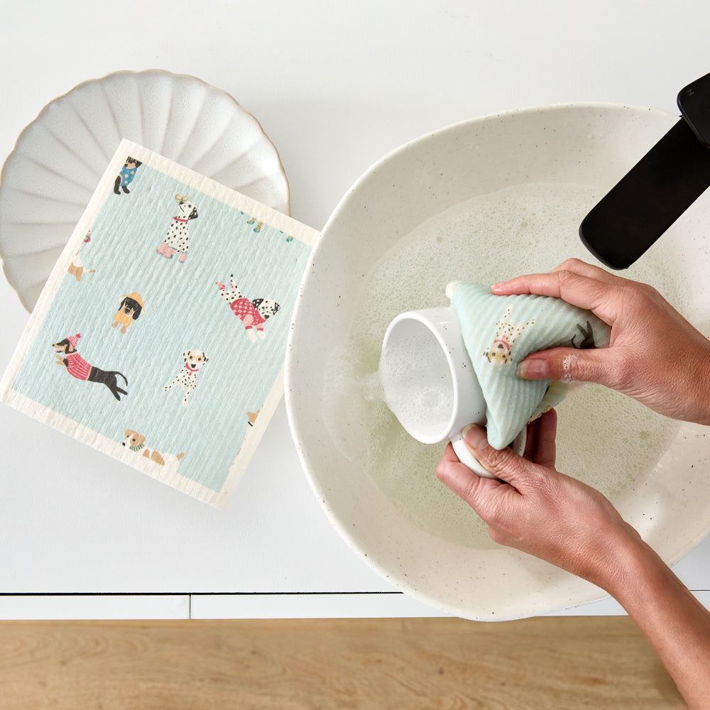 MyHouse Set of 2 Dish Cloths
