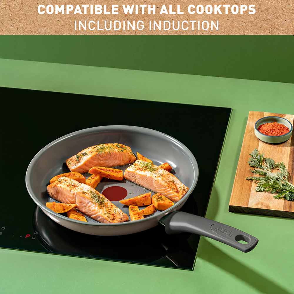 Tefal Revive Ceramic Induction Non-Stick Frypan all cooktops infographic at MyHouse