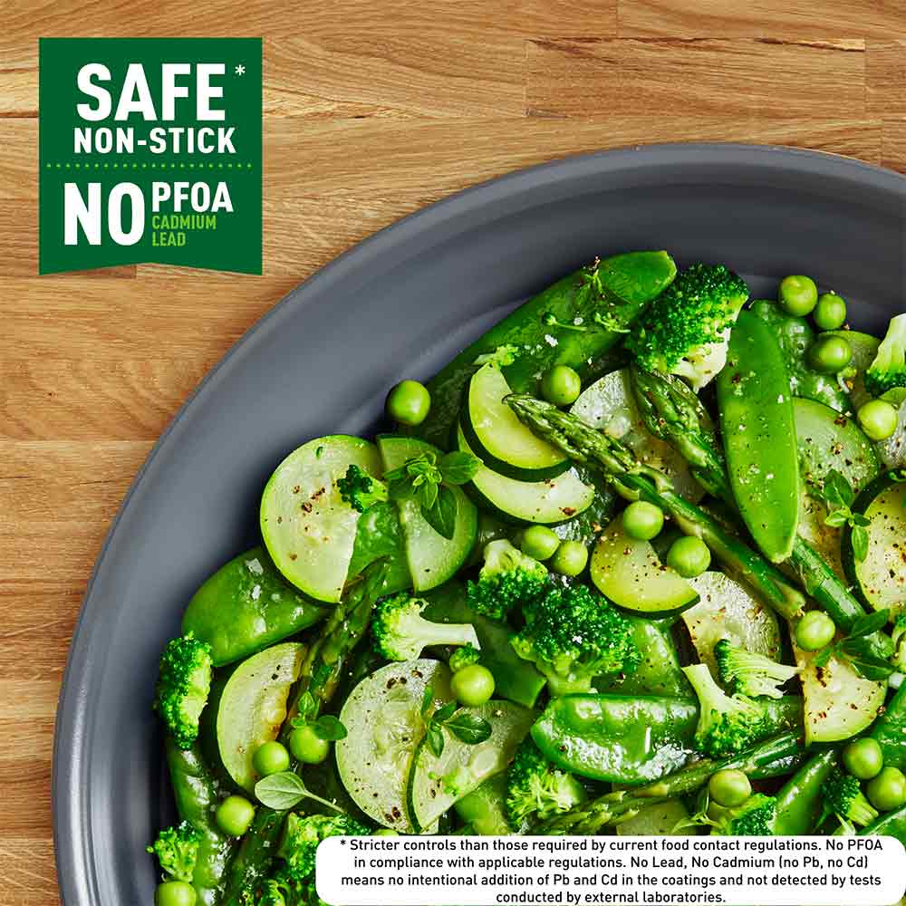 Tefal Revive Ceramic Induction Non-Stick Frypan PFOA free infographic at MyHouse