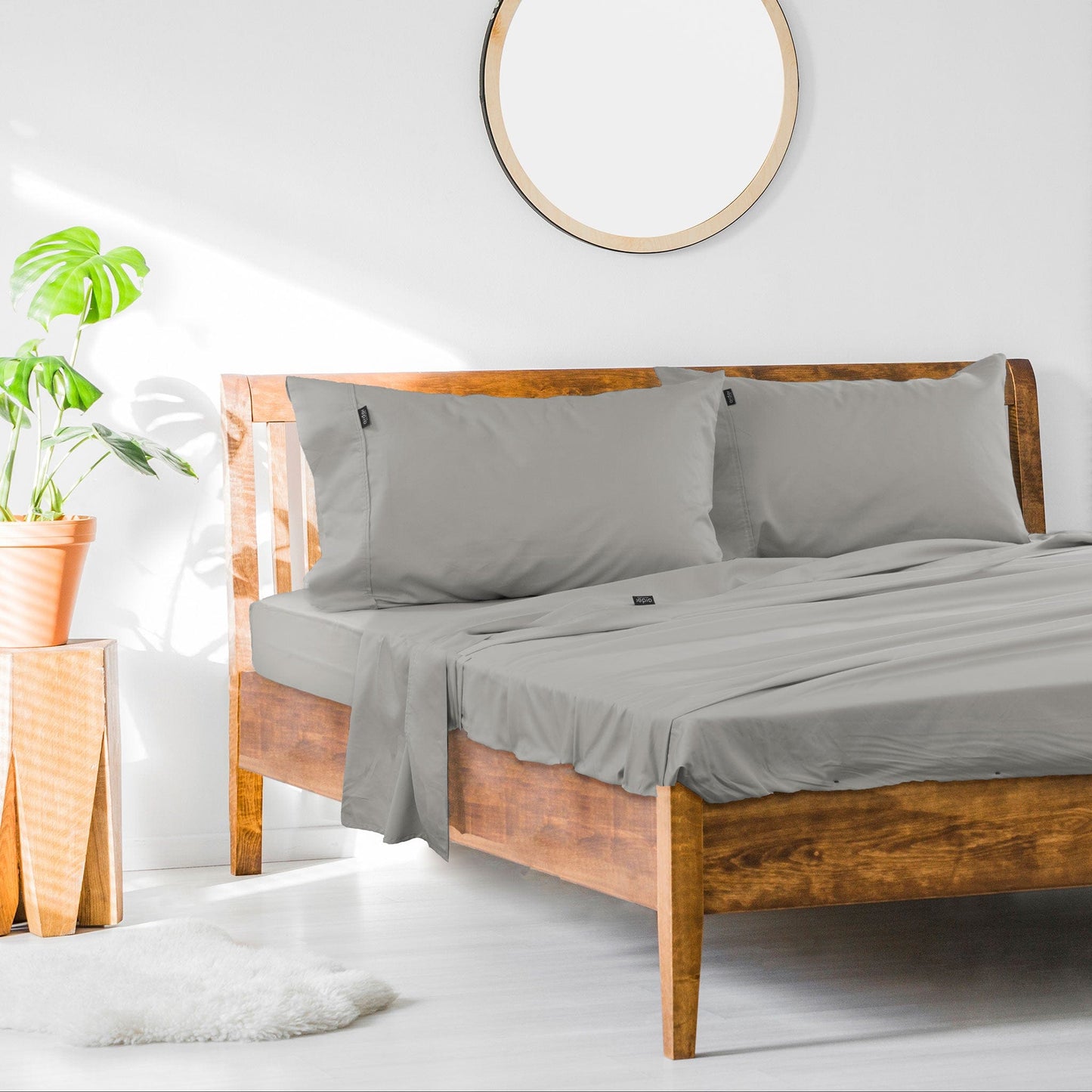 Ardor Cotton Rich Sheet Set