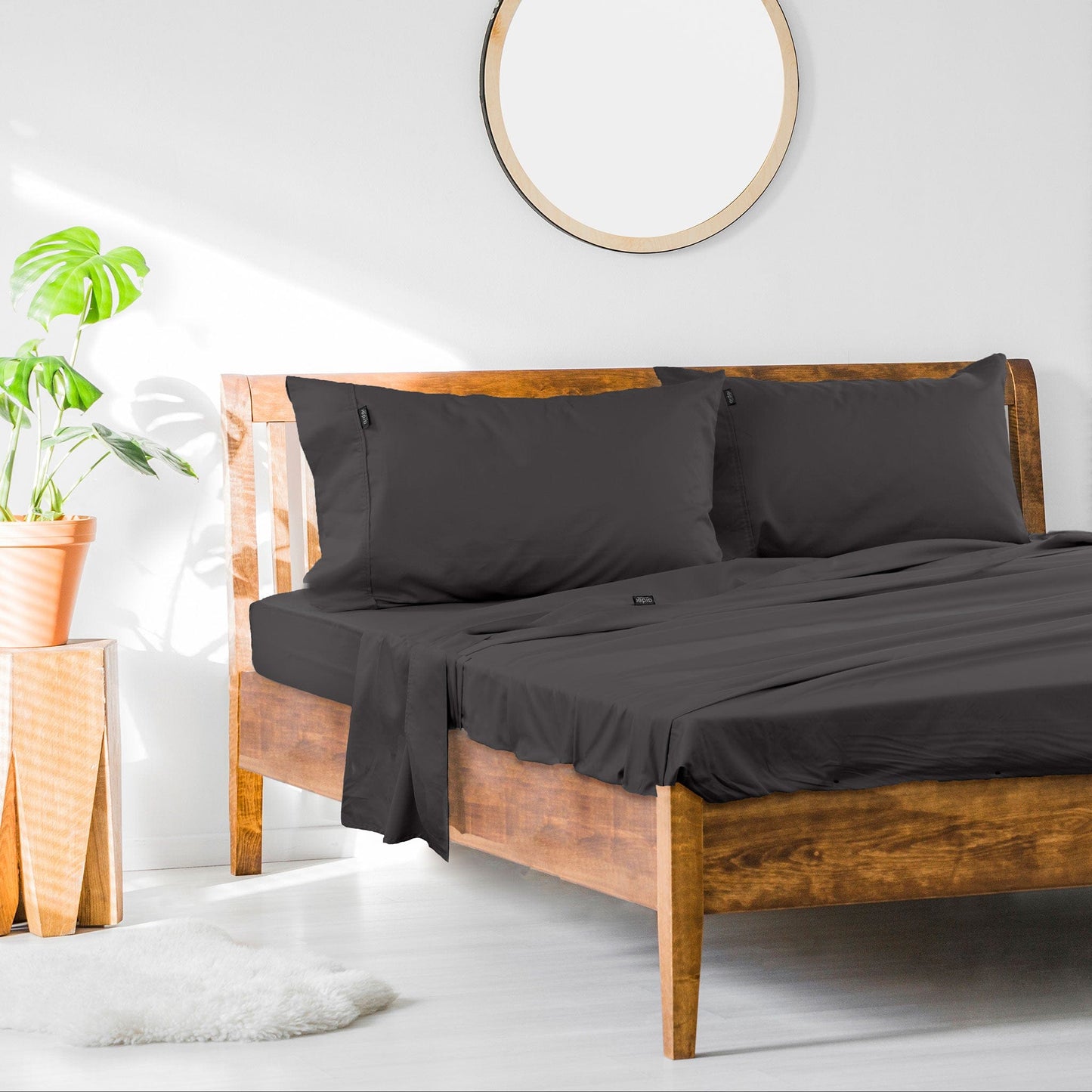 Ardor Cotton Rich Sheet Set