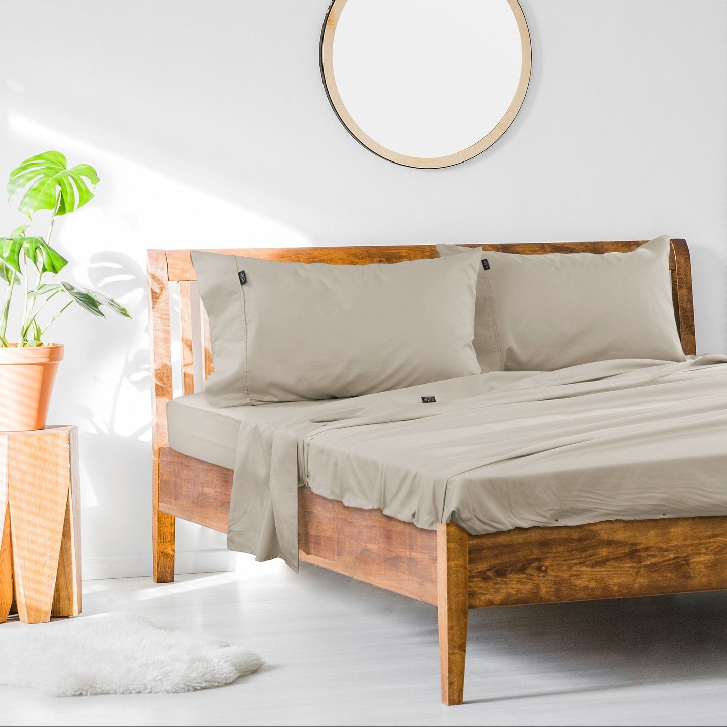 Ardor Cotton Rich Sheet Set