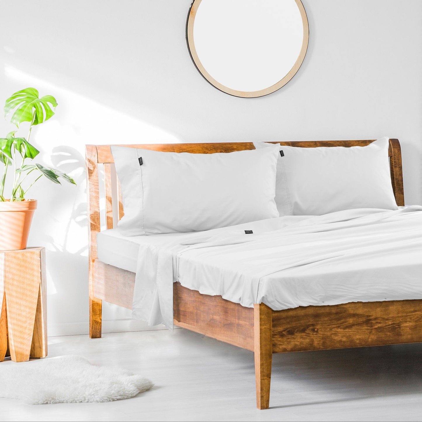 Ardor Cotton Rich Sheet Set