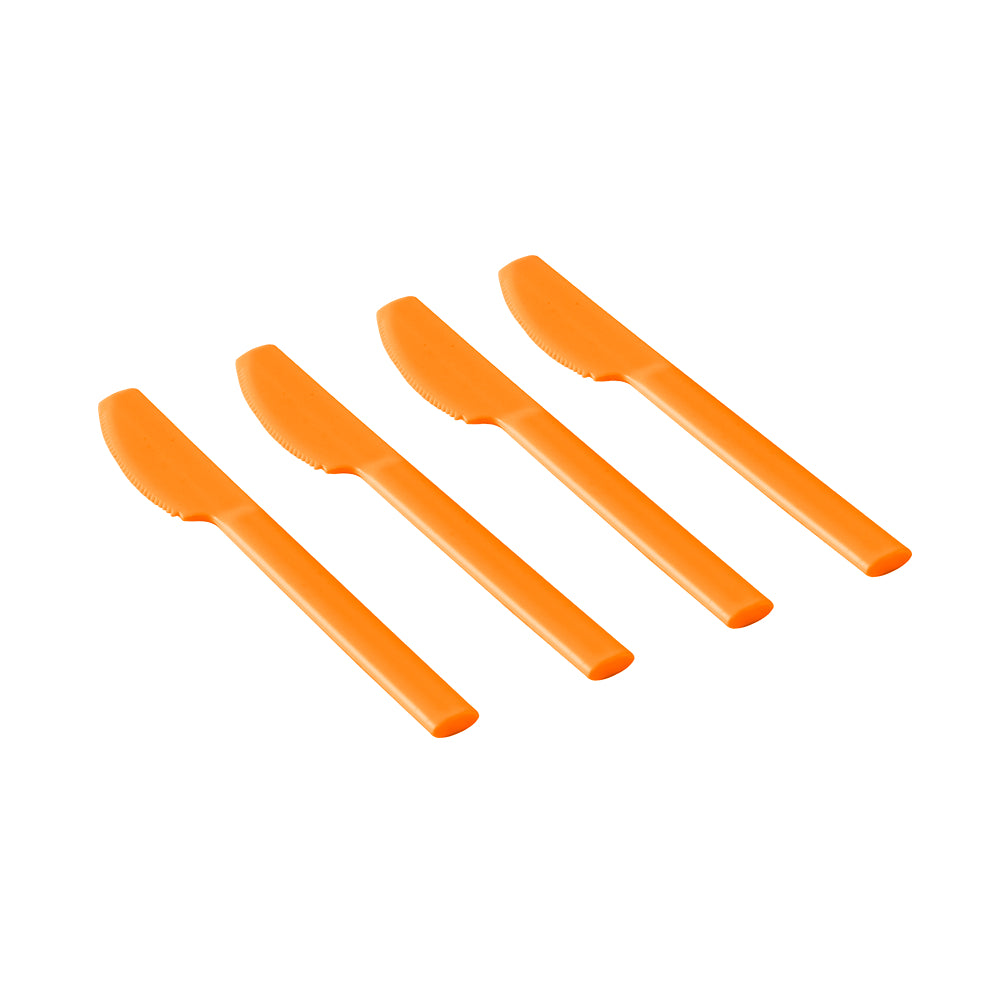 HAYDAE COLLECTIVE Picnic Ball Set for 4
