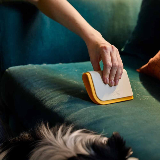 Joseph Joseph CleanTech 3 in 1 Pet Hair Cleaning Tool