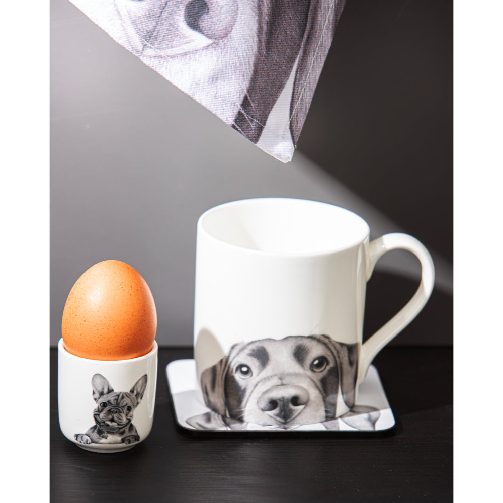 Ashdene Peeking Pups French Bulldog Set of 2 Egg Cups
