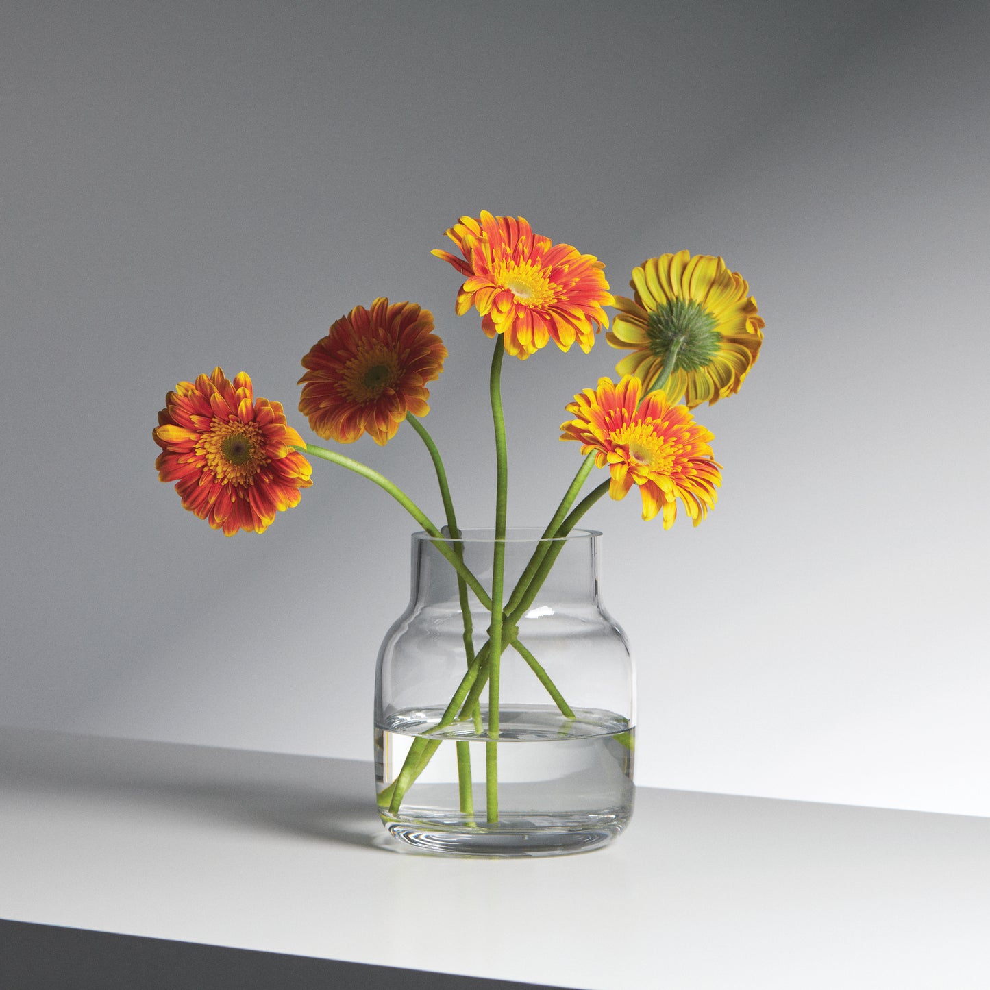 Salt & Pepper Gallery Margot Vase 15 x 17.5cm