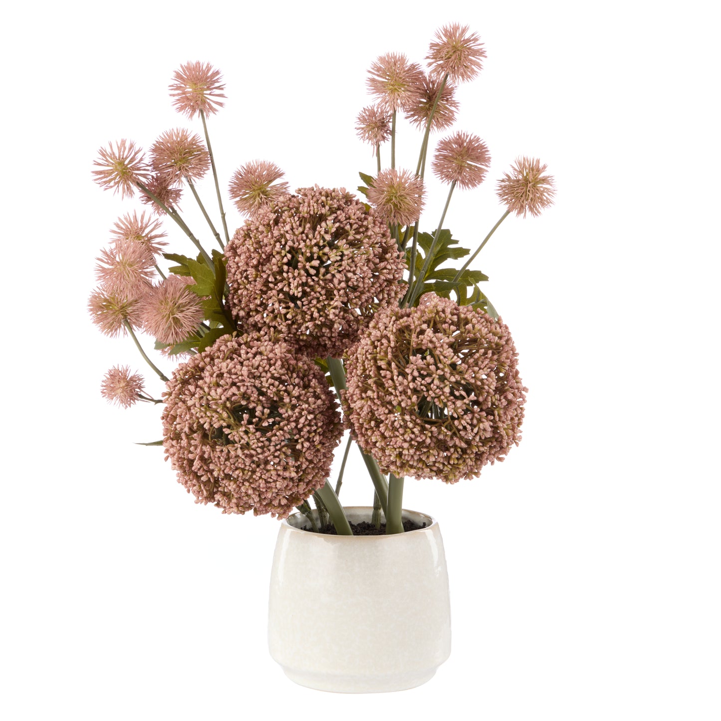 Rogue Allium Pompom Mix Gianna Pot
