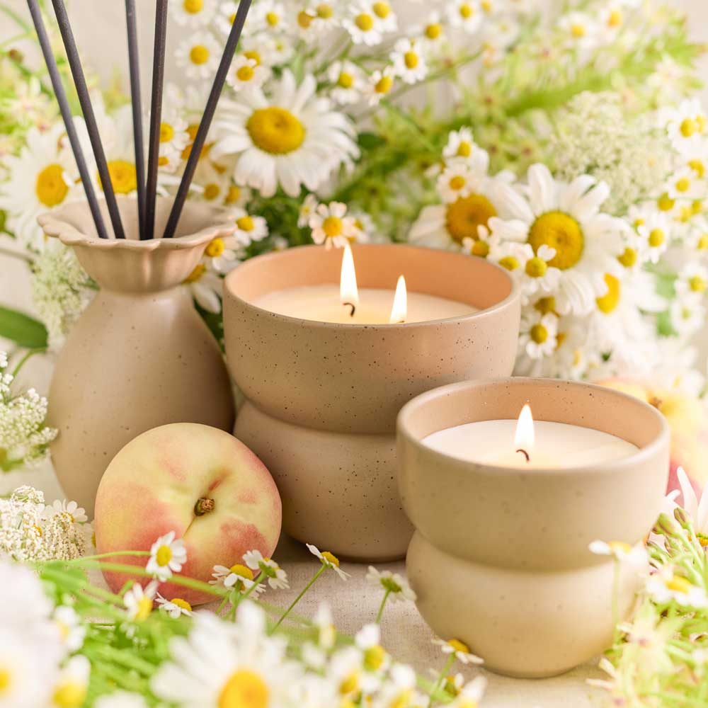 Ecology Alchemy Candle 450g