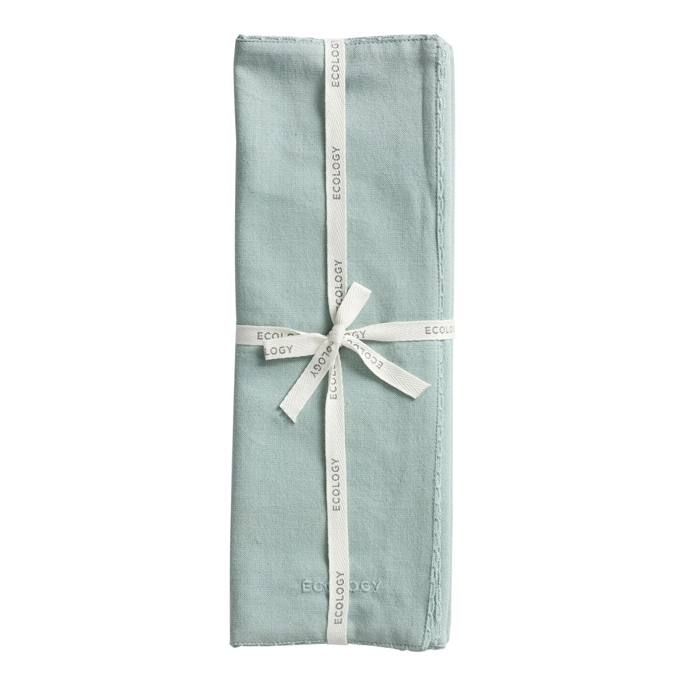 Ecology Weft Set of 4 Placemats 38x53cm Celadon