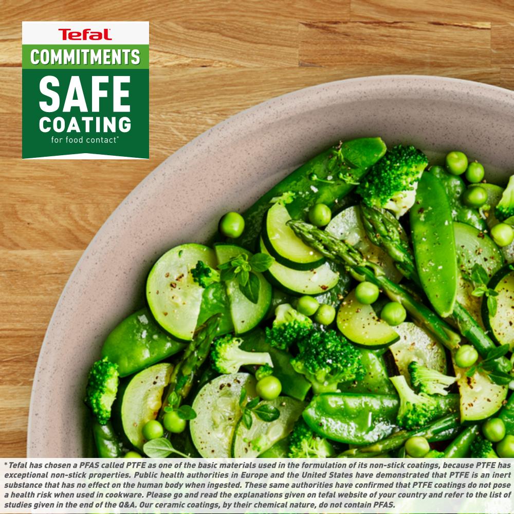 Tefal Delight Induction Mineralia Non Stick Frypan 20cm