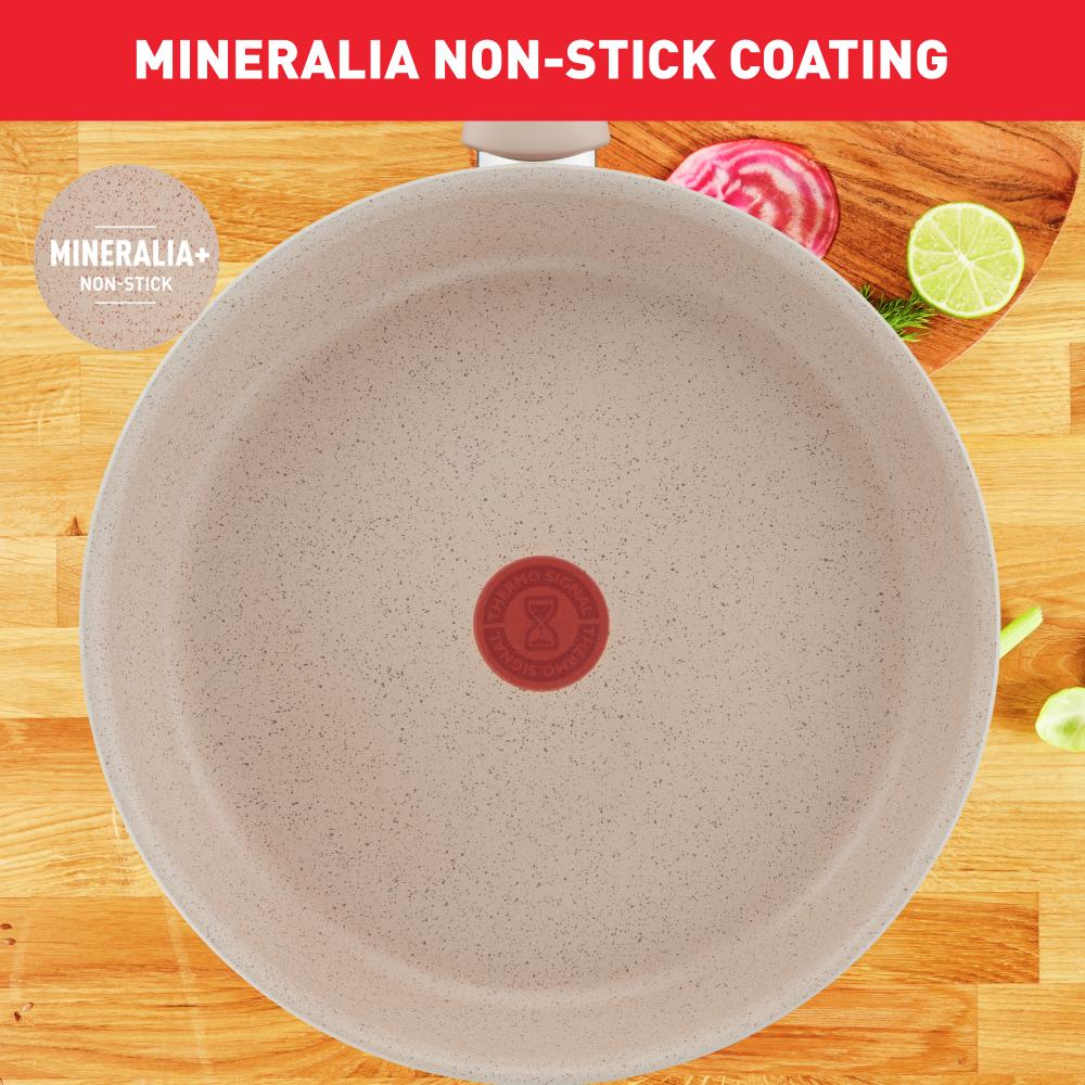Tefal Delight Induction Mineralia Non Stick Frypan 24cm