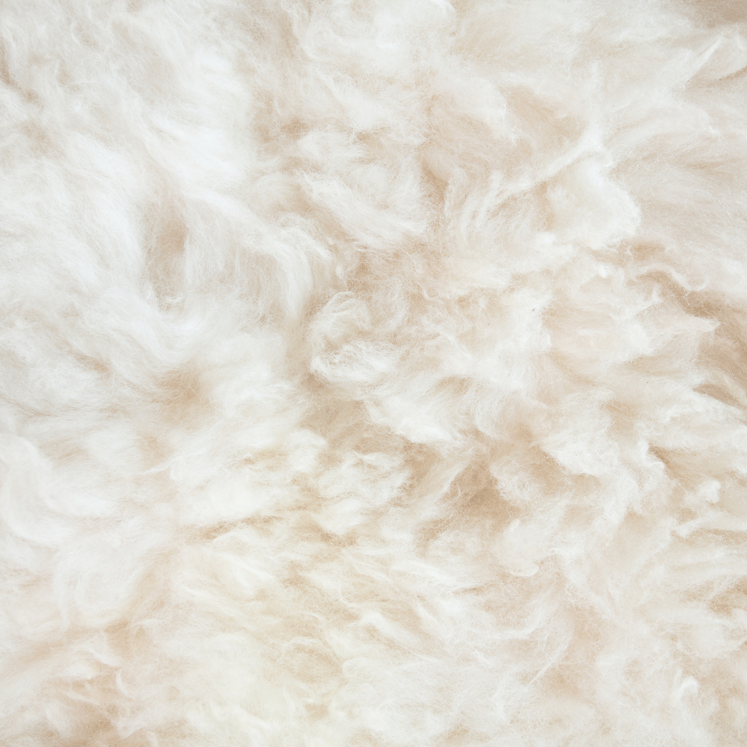 Luxe Wool 500 Quilt