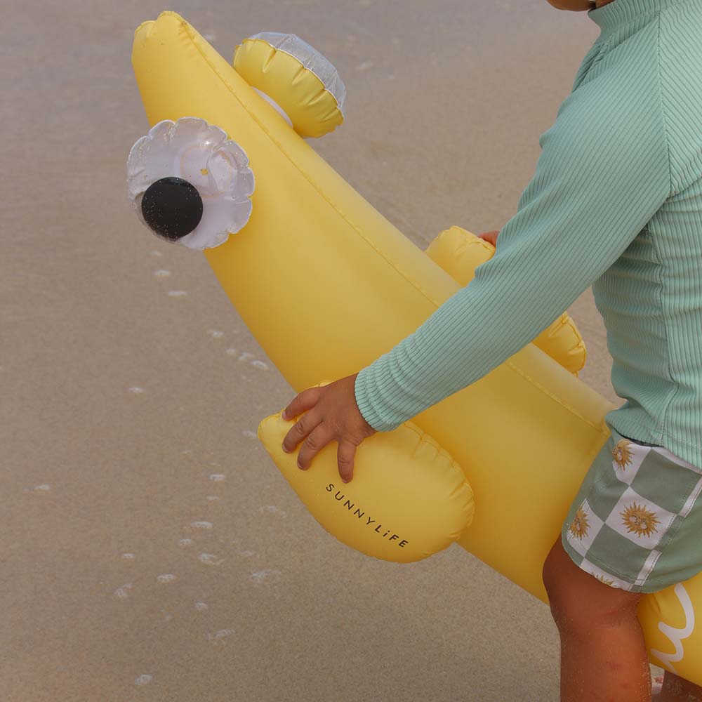 SUNNYLiFE Set of 2 Kids Inflatable Noodles Finn The Fish Multi