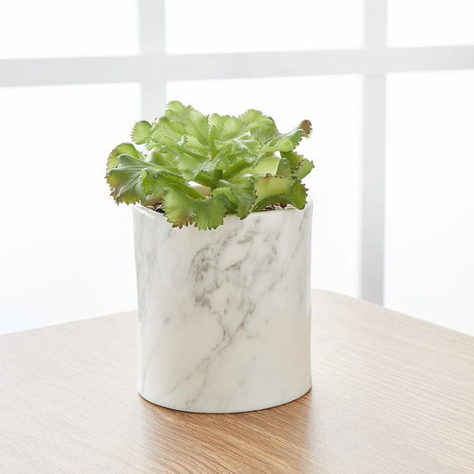 Potted Faux Succulent