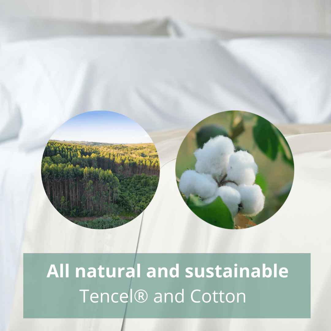 Reyne Tencel Sheet Set